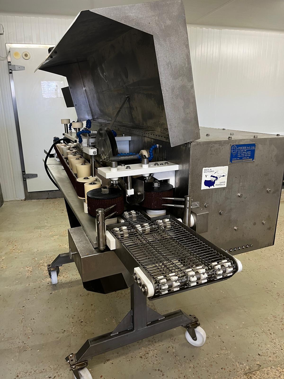 Machine à éplucher Pisces FR 150