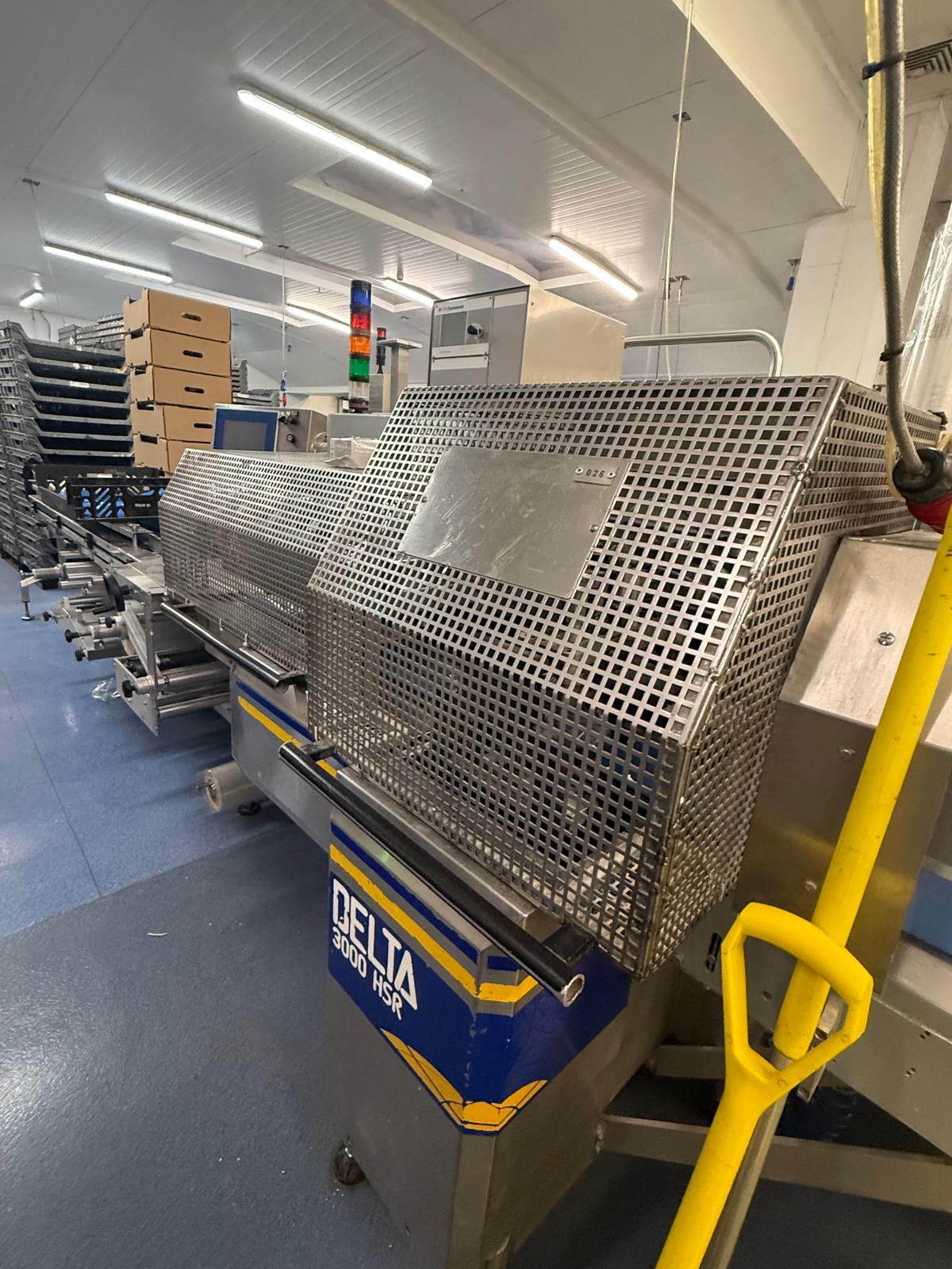 Ensacheuse flowpack Ilapak Delta 3000