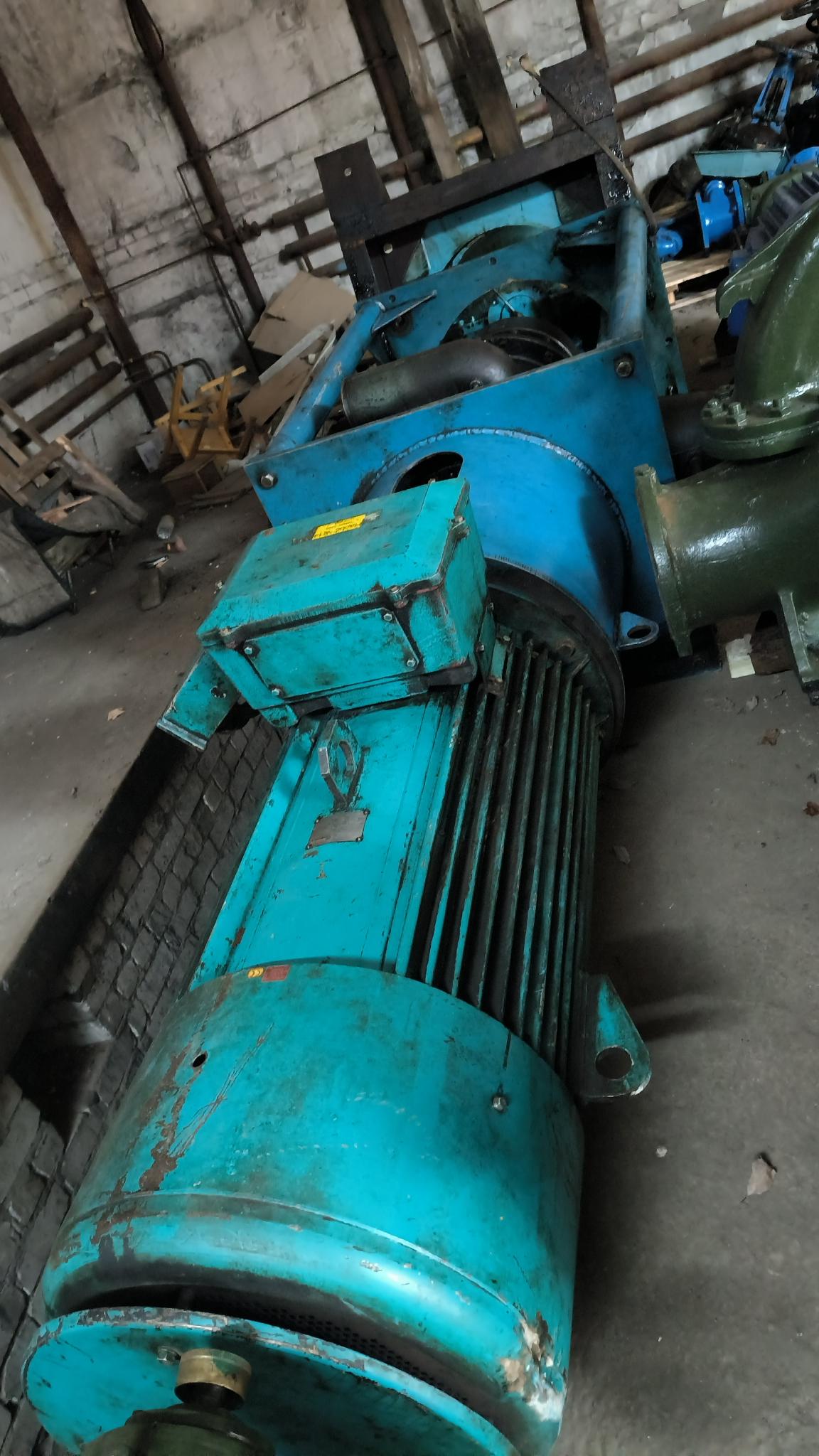 Pompe industrielle BORNEMAN W7T 2zk-130